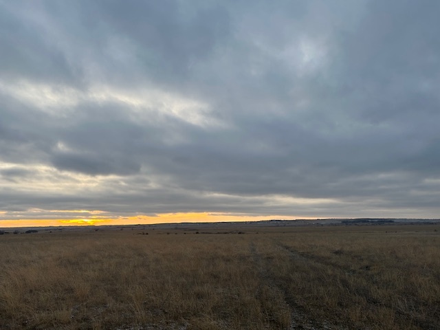 View of Property Looking West