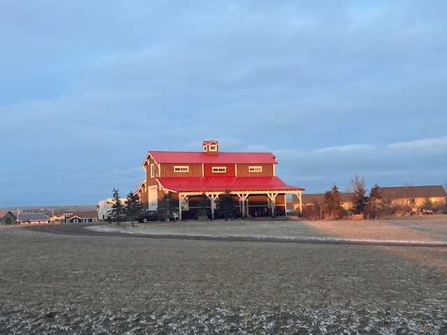 What the Neighbors did